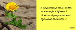 Savoir s&#039;affirmer